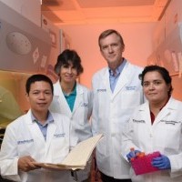 Bickel Lab identifies protein that promotes the breakdown of fat