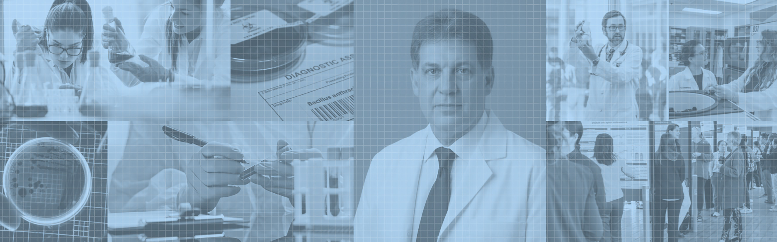 Seidenfeld Banner - Desktop