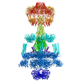 International team determines structure of a key player in antibiotic resistance