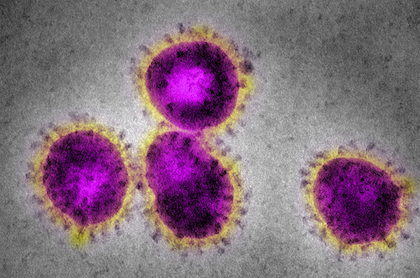 Data scientists ID potential vulnerabilities in the COVID-19 virus
