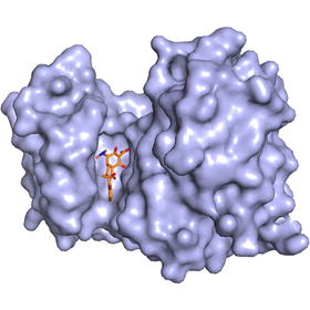 Three longtime antibiotics could offer alternative to addictive opioid pain relievers