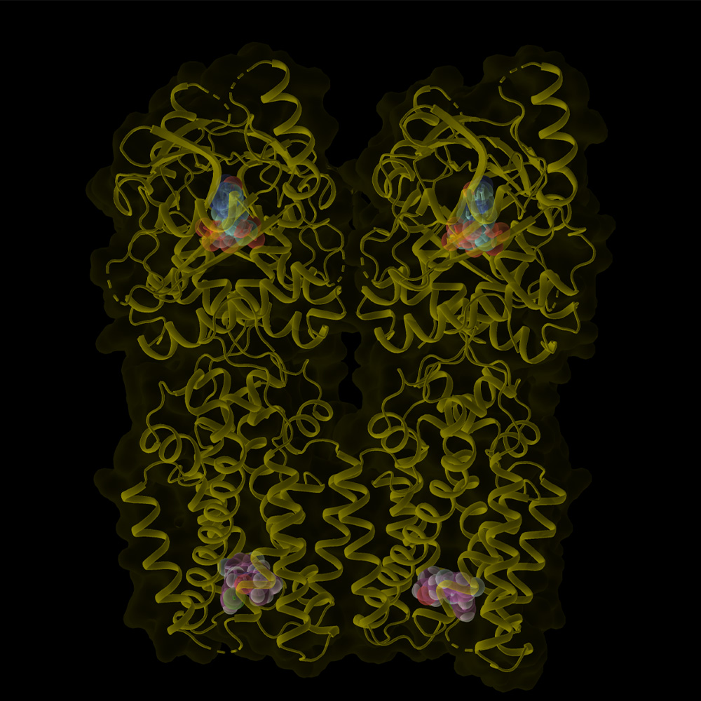 Cryo-EM imaging of STING protein reveals new binding pocket