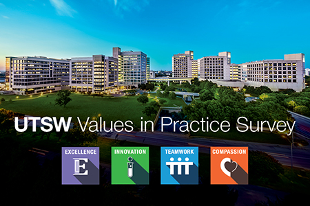 Your voice is vital: 2026 Values in Practice Survey