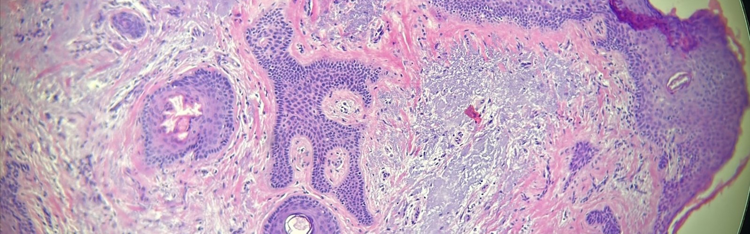 skin-bio-banner-desktop.jpg