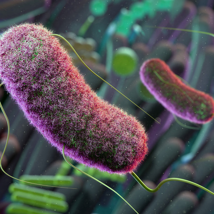 Study looks at ties between anxiety and gut bacteria
