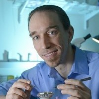 Neuroscientist awarded Sloan Research Fellowship for insights into memory storage and retrieval