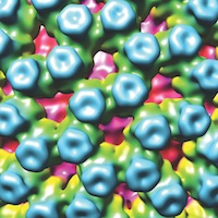 Cryo-electron microscope center zooms in on life at atomic scale