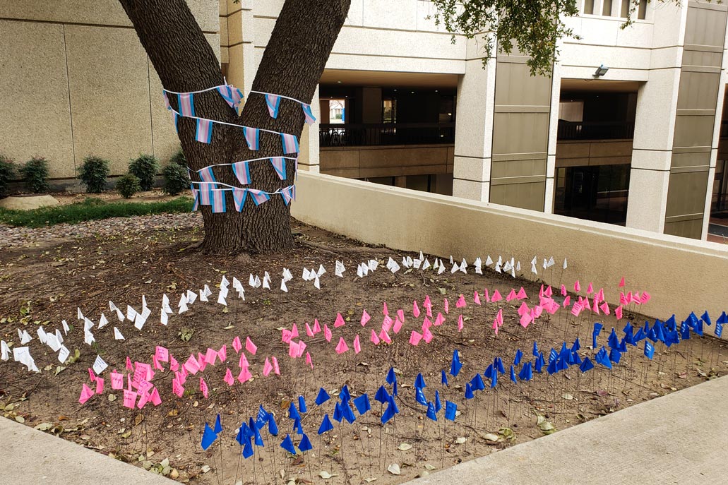 Blue, pink, and white flags are lined up in a flower bed and blue, pink, and white flags circle a tree behind them