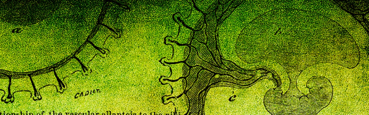 banner-reproductive-endocrinology-1280x400.jpg