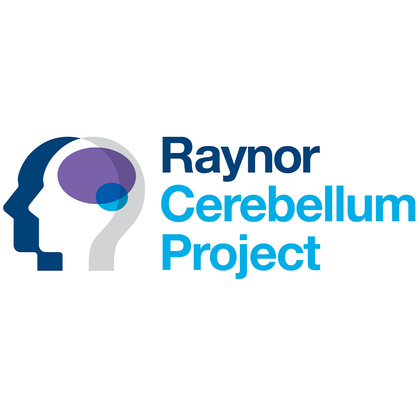 $25 million gift from Once Upon a Time Foundation establishes Raynor Cerebellum Project at UT Southwestern to tackle cerebellar dysfunction and disorders