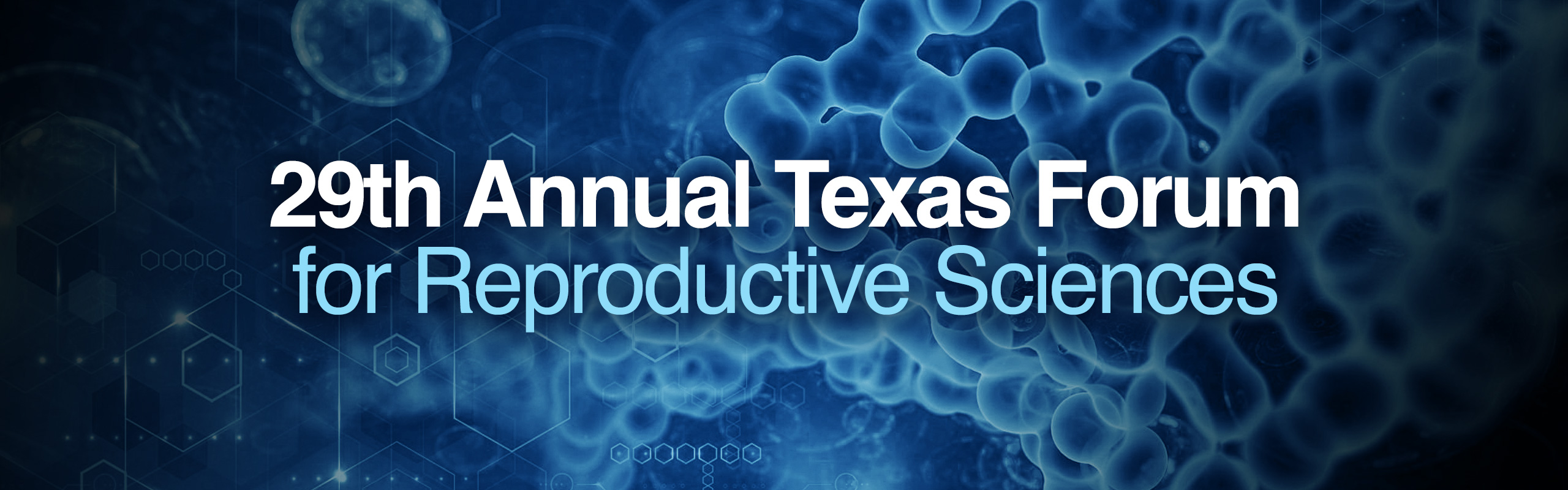 banner-29th-annual-texas-desktop.png