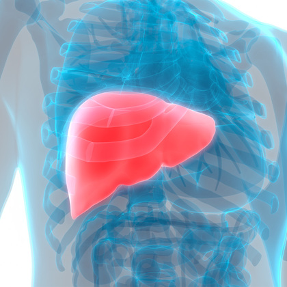 Risk factors identified for autoimmune hepatitis after liver transplant