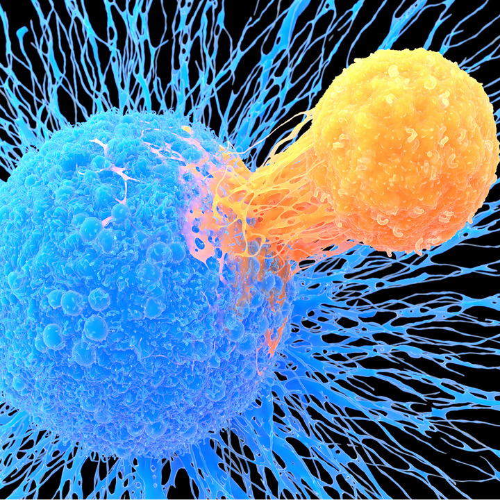 tcell-thumb.jpg