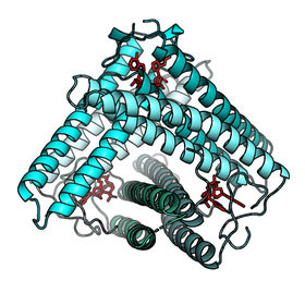 UT Southwestern researchers report new mechanism in an ancient pathway of immune response