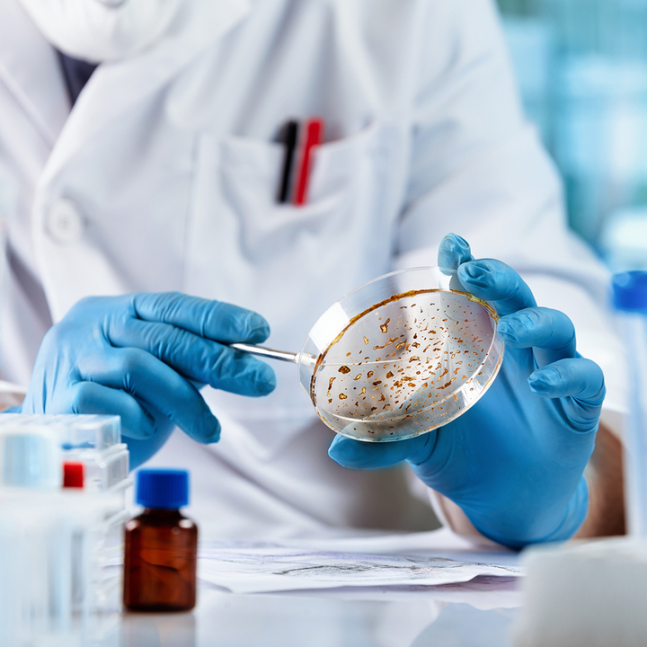 fungal-infections-thumb.jpg
