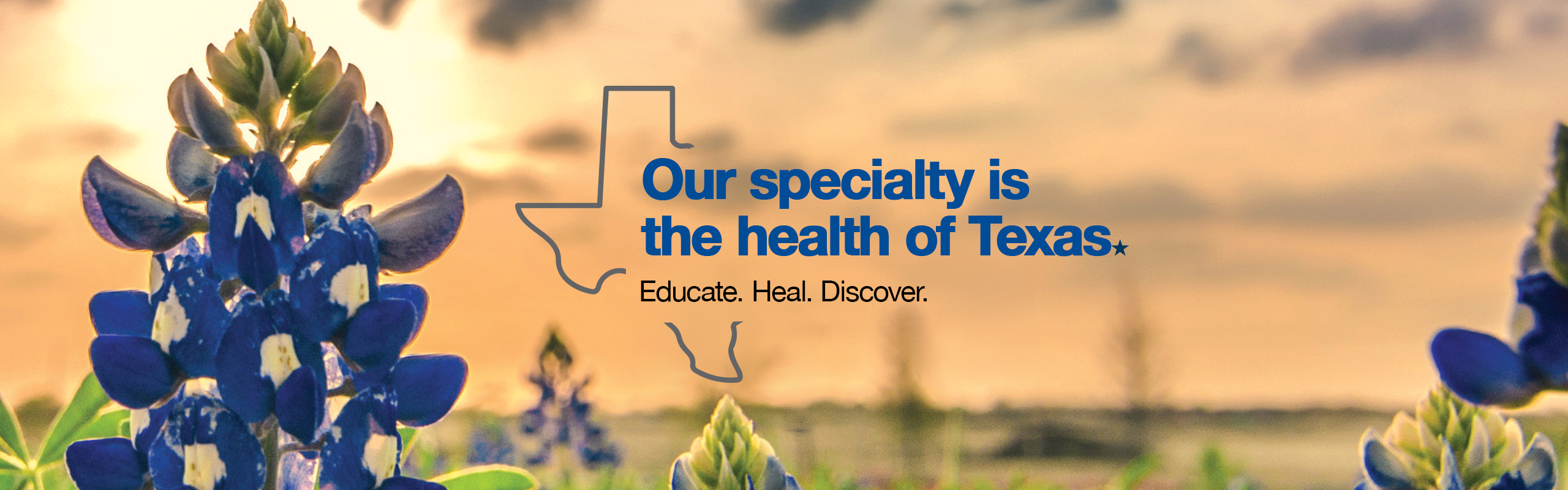 Field of bluebonnets with text, Our Specialty is the Health of Texas. Educate. Heal. Discover.
