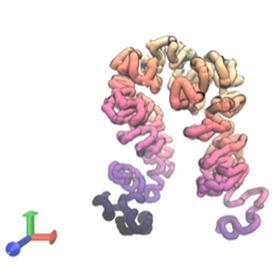 Artificial intelligence tools predict DNA’s regulatory role and 3D structure