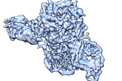 Cryo-EM structures of the nicotine receptor may lead to new therapies for nicotine addiction