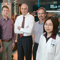 Researchers discover molecule that accelerates tissue regeneration after bone marrow transplants