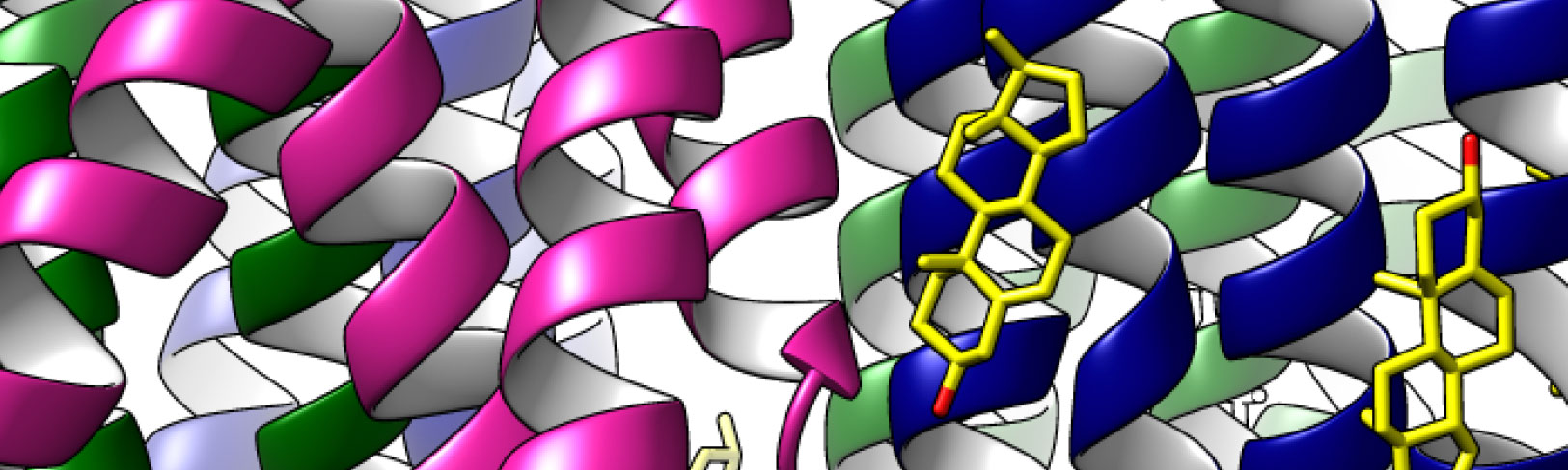 Molecular Biophysics