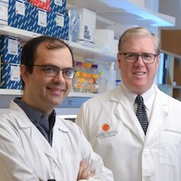 CRI scientists discover vitamin C regulates stem cell function and suppresses leukemia development