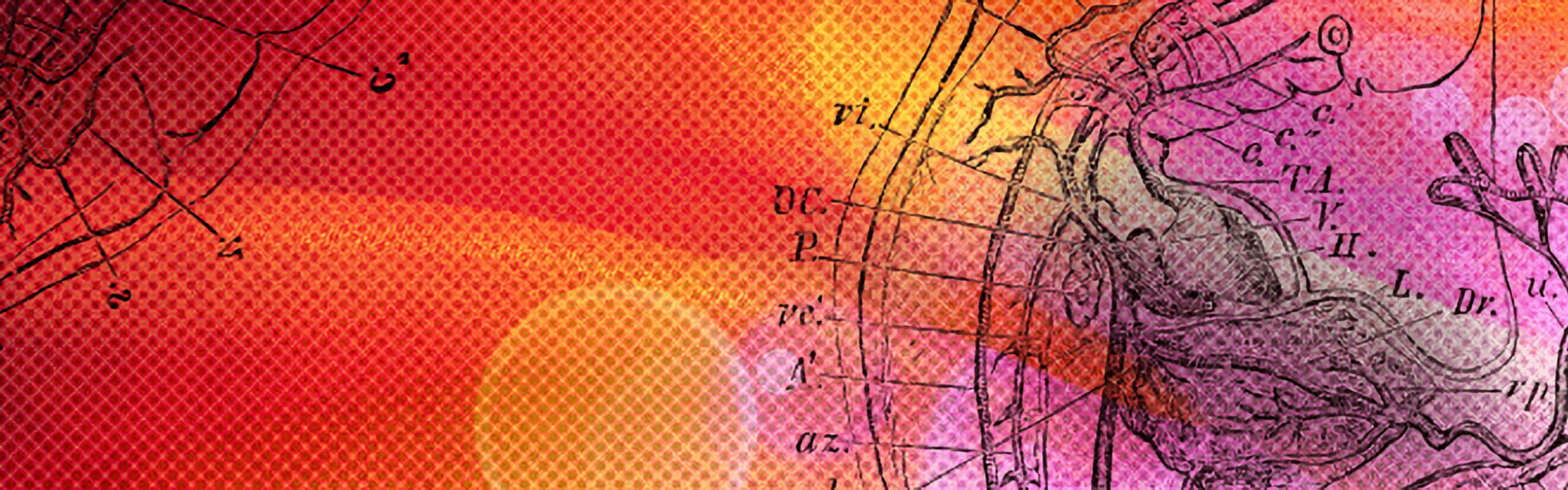 banner-desktop-basic-reproductive-bio-research-2560x800.jpg