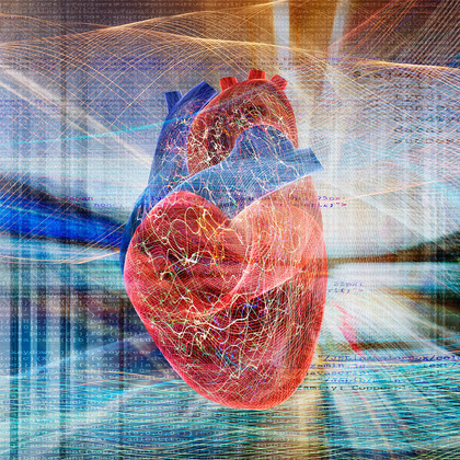 Potential genetic regulators of the heartbeat identified by UT Southwestern researchers