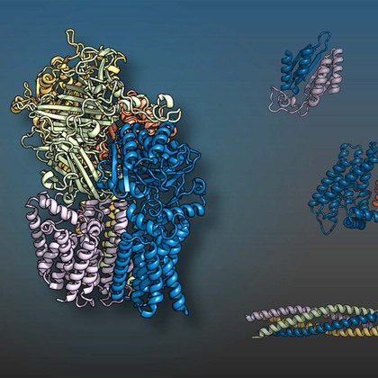 Artificial intelligence successfully predicts protein interactions