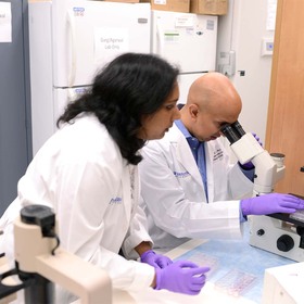 UT Southwestern diabetes researchers show gene editing can turn storage fat cells into energy-burning fat cells