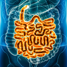 UTSW researchers identify driver of inflammatory bowel disease