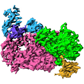 UTSW scientists identify mechanism crucial for COVID-19 virus replication