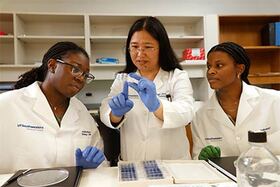 UTSW summer research programs provide undergrads valuable experience