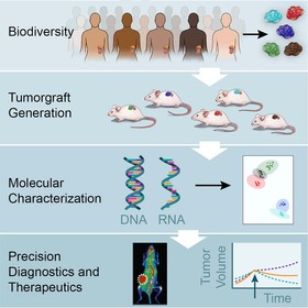 UT Southwestern launches SPORE-funded national resource to advance precision medicine for kidney cancer