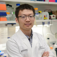Mitosis discovery helps Genetics, Development and Disease researcher Ji win 2016 recognition