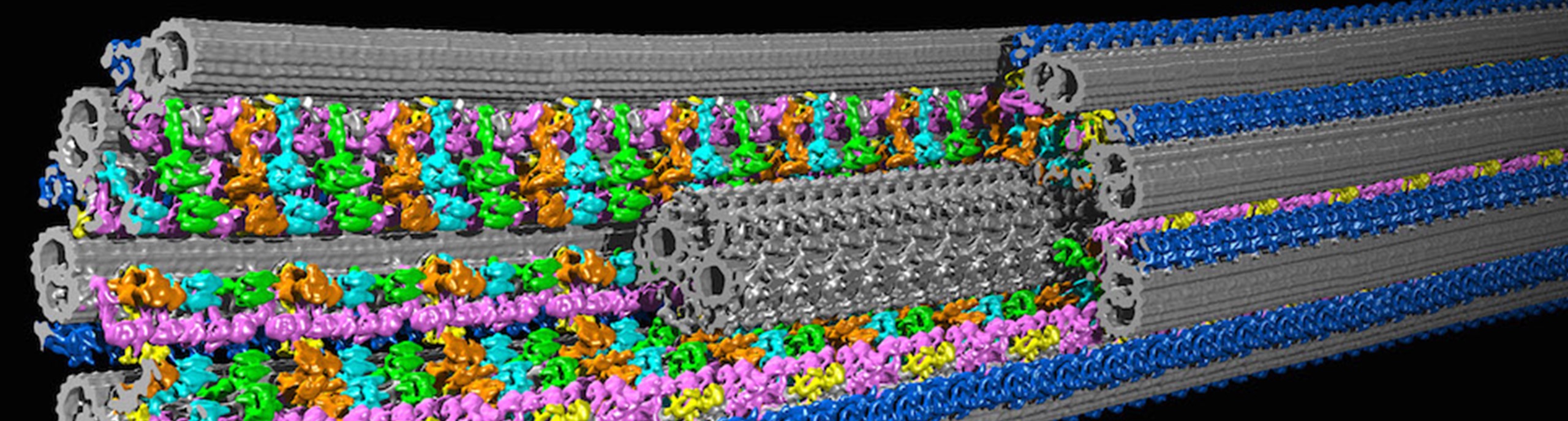 CEMF banner 3 desktop- tomography