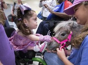 A young dancer pets the therapy pony