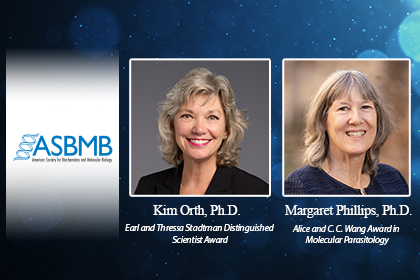 Orth, Phillips honored with ASBMB awards