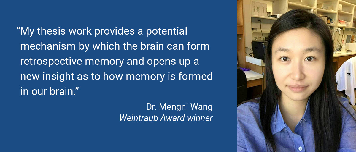 My thesis work provides a potential mechanism by which the brain can form retrospective memory and opens up a new insight as to how memory is formed in our brain.