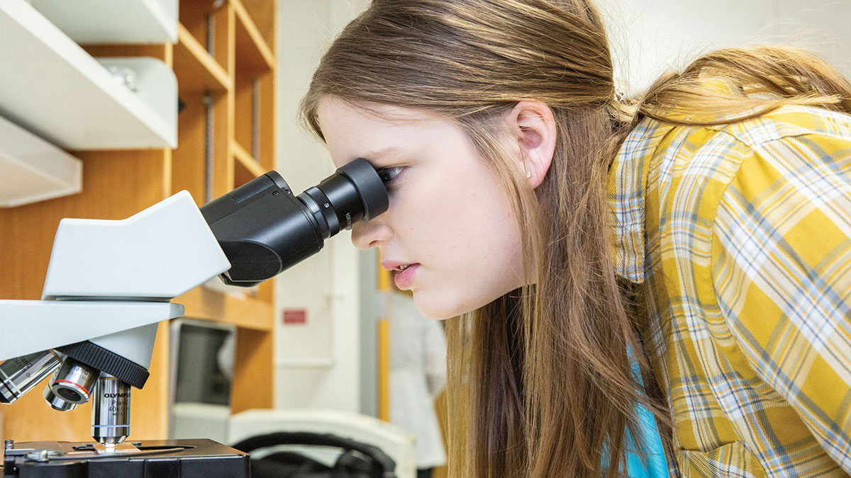 A guest takes a microscopic look at blood vessels and cancer cells.