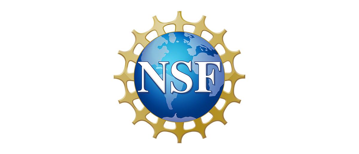 nsf-header-new.jpg