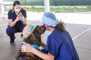 Registered Nurse Brooke Bender takes a photo of fellow registered nurse Tiffani Dunn with Rusty.