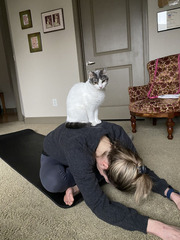Ann Cuddy, Transplant Coordinator for Solid Organ Transplant, practices yoga with the help of her cat, Max.
