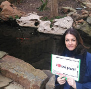 Denise Leeming, Physical Medicine and Rehabilitation: “My favorite oasis is the koi pond on South Campus. It’s a quick retreat, just a short jaunt from Aston where I work. Whether the waterfall is flowing during the warm months or the pond is still during the cold months, it is always relaxing watching the fish swim. The small things that bring balance to a stressful schedule are what make life worth living, and I feel that balance here, which is why at least a few times a week I try to visit it and seize the day – or better yet, CARP diem!”