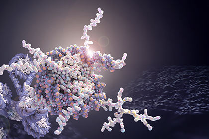 Taking a closer look at biomolecular condensates - Center Times Plus ...