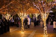 Scenes from the tree-lit reception on the plaza.