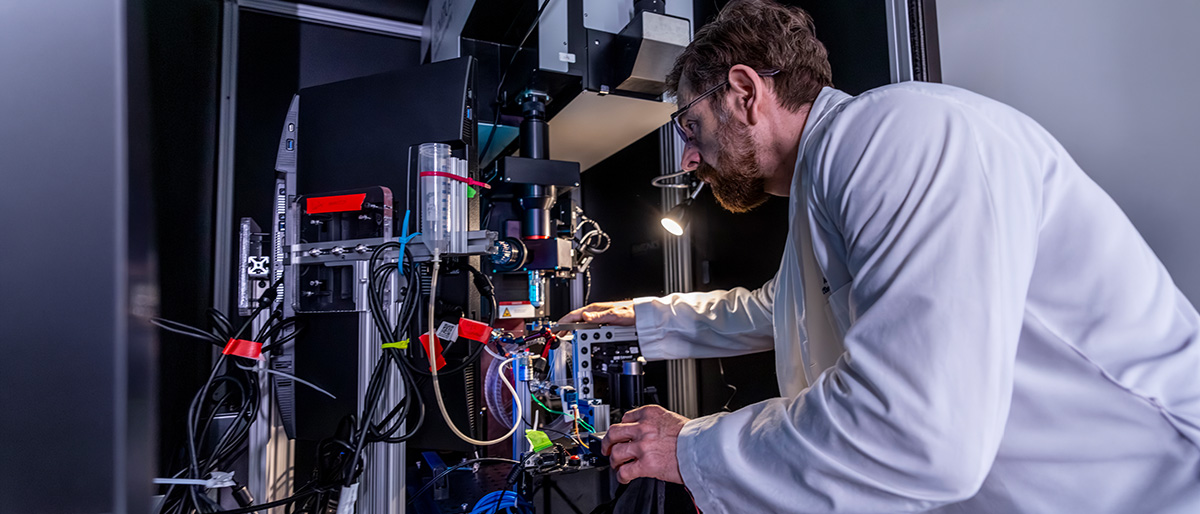 Memory longevity program - Dr. Losonczy banner