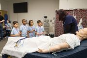 Students learn how to use a stethoscope on an adult mannequin.