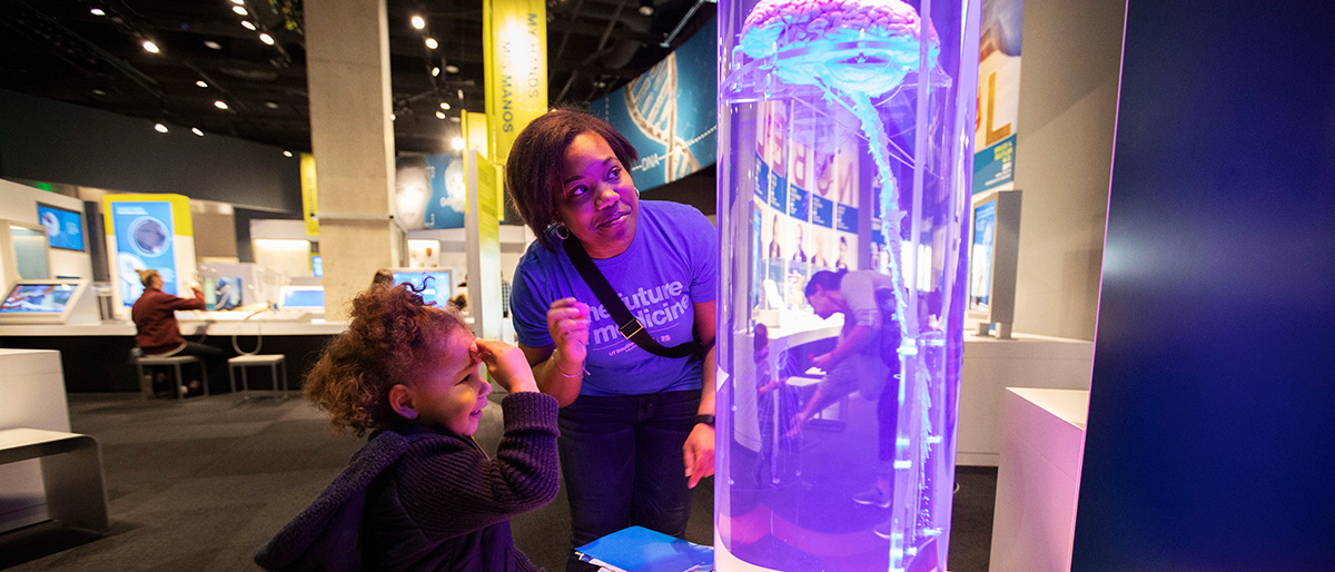 UTSW employee and child look at a human brain and spinal cord - heading image