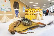Traditional Native American artifacts were on display.
