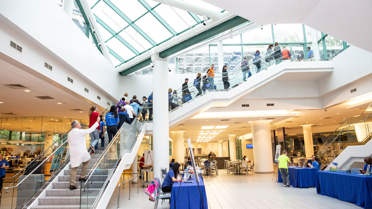 Photo of visitors going up stairs at event